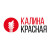 Партнер 2